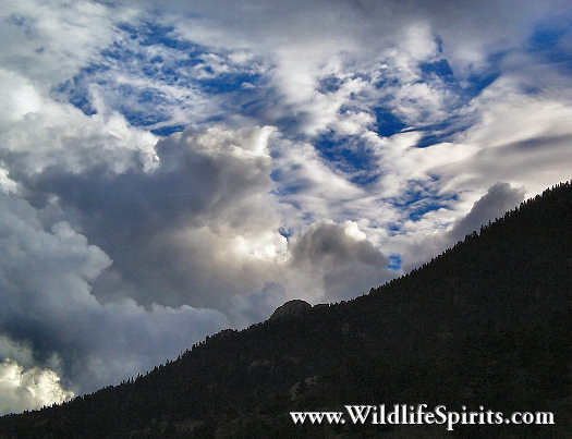 Click Picture to send as an  E-PostCard 52k 525x403